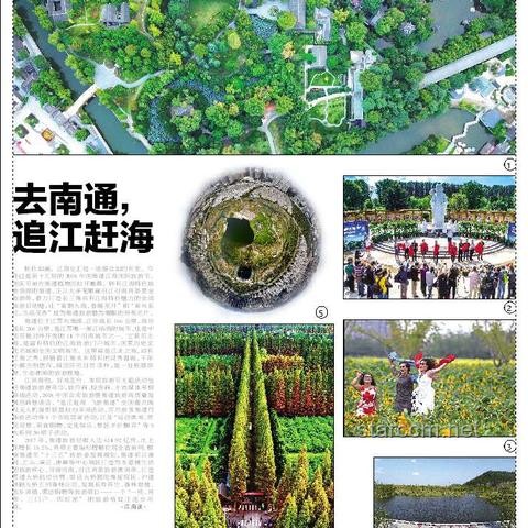 赶海现抓现吃经历：遇到个可爱小水母的探索与启示